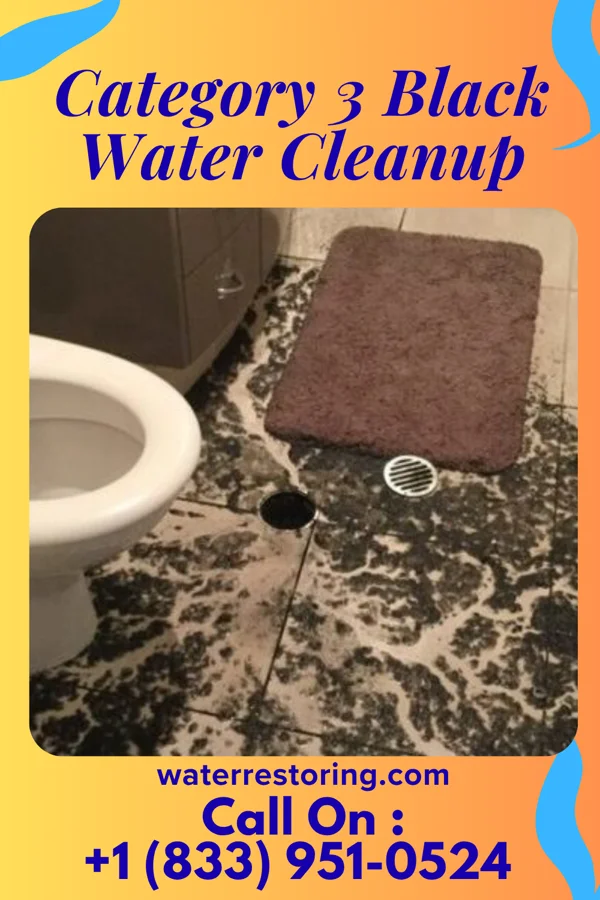 Category 3 Black Water Cleanup in Odell, NE